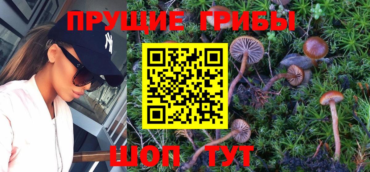 Советский  Псилоцибиновые грибы мухоморы  хочу наркоту  Вход с VPN 