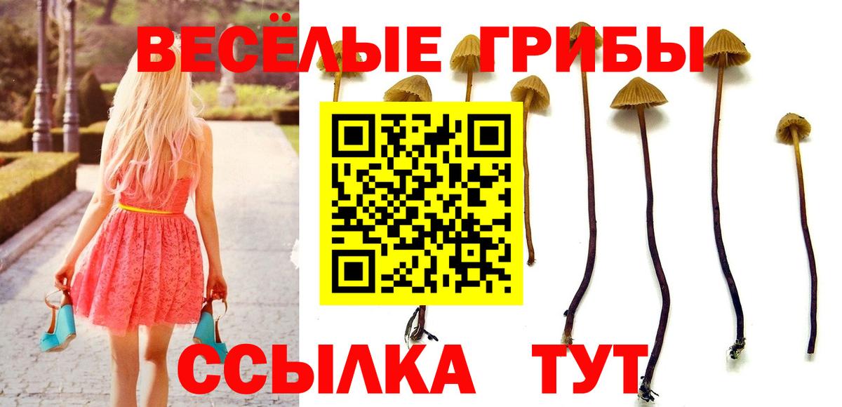 Псилоцибиновые грибы мицелий Советский